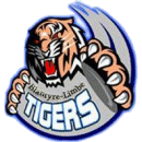 Mighty Tigers FC